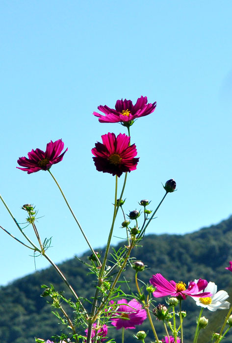 a0284558_22215100.jpg
