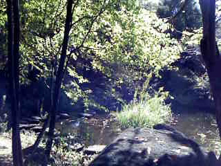 a0108859_20114752.jpg