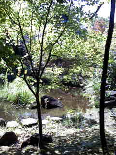 a0108859_20114769.jpg