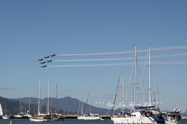 d0221360_83381.jpg