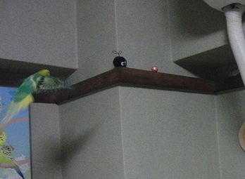 f0196665_0142937.jpg