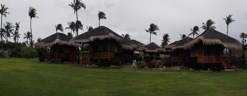 b0050067_0194948.jpg