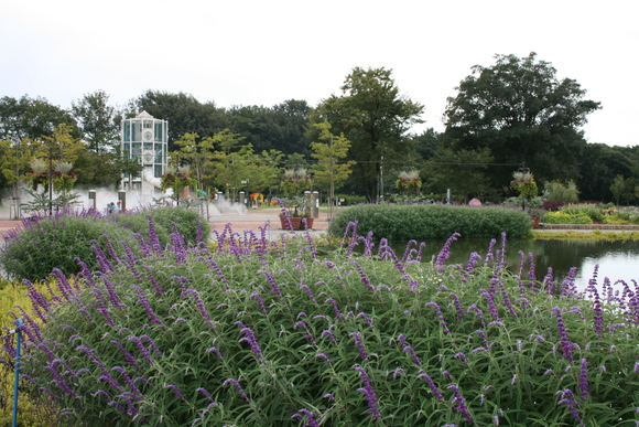 c0248269_9254955.jpg