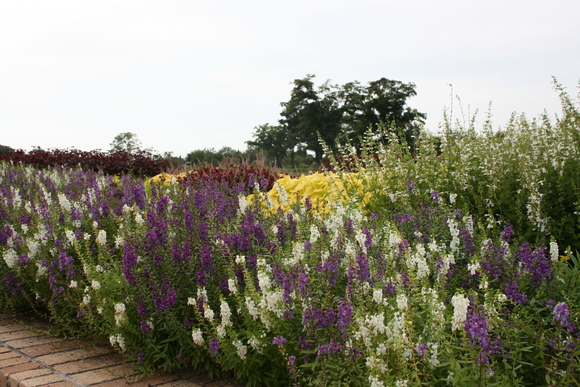 c0248269_9272894.jpg