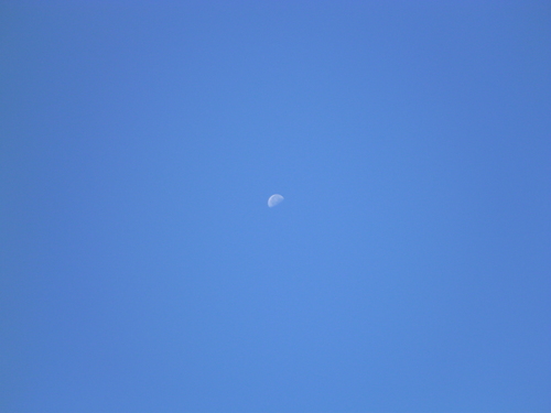 d0047569_8375151.jpg