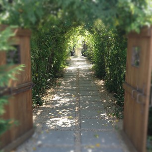 c0161571_22494025.jpg