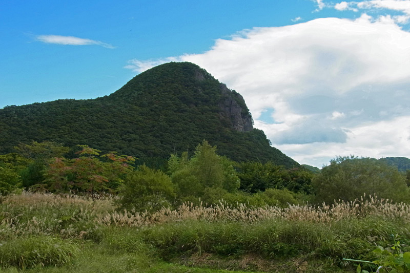 e0100772_21435593.jpg