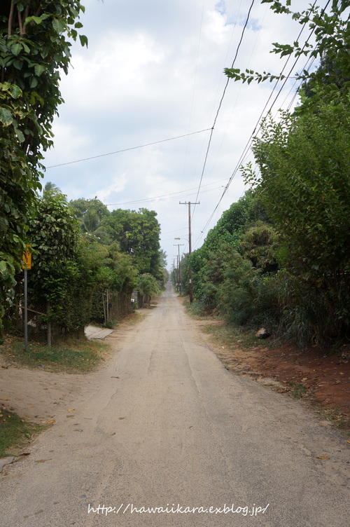 e0277172_14245121.jpg