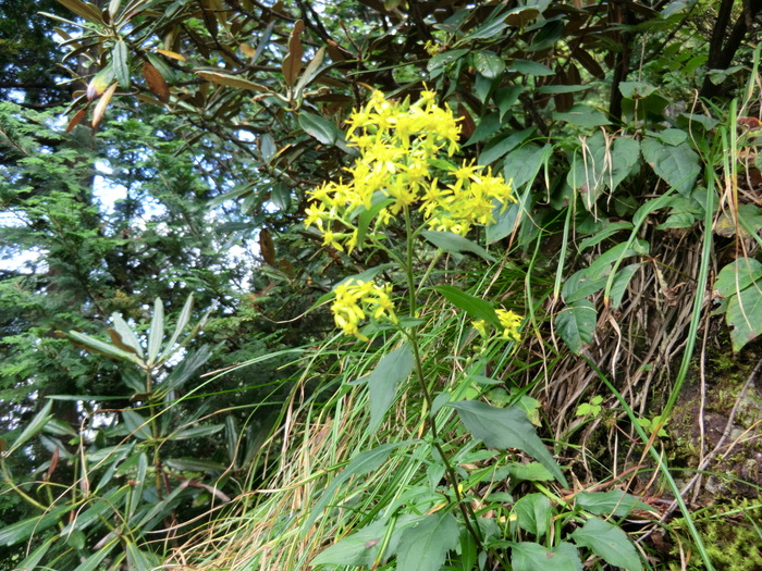 b0185573_16541593.jpg