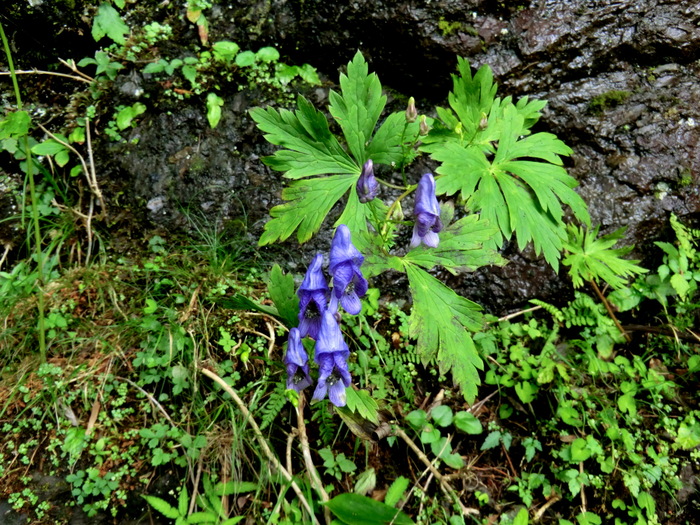 b0185573_16545516.jpg