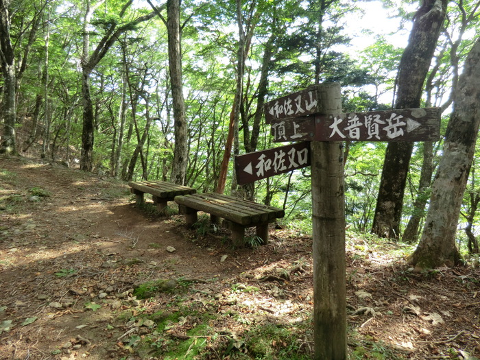 b0185573_17272481.jpg