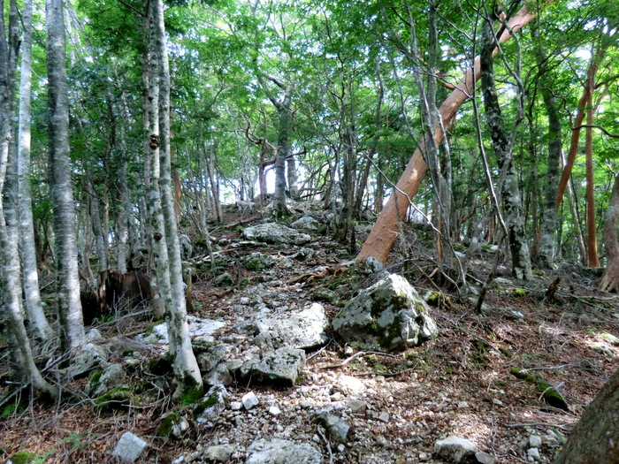 b0185573_17413874.jpg