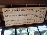 f0103873_2032982.jpg