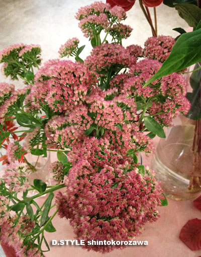 a0287777_1511337.jpg