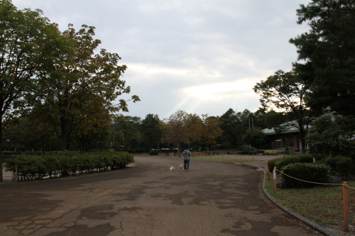 e0114977_21243942.jpg