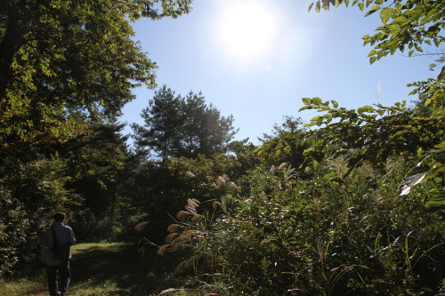 e0114977_21352310.jpg