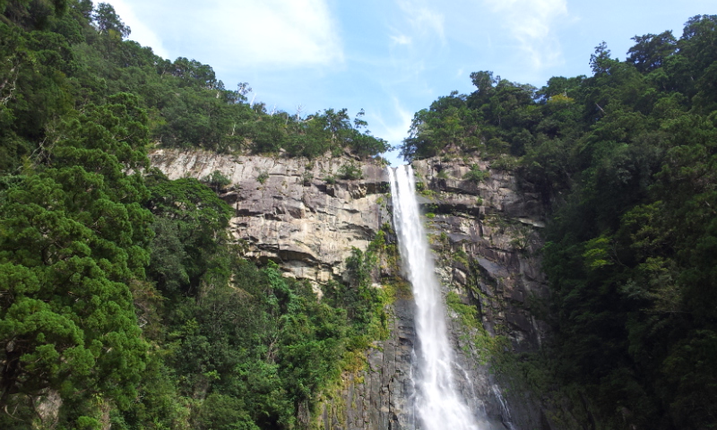 f0054677_8553171.jpg