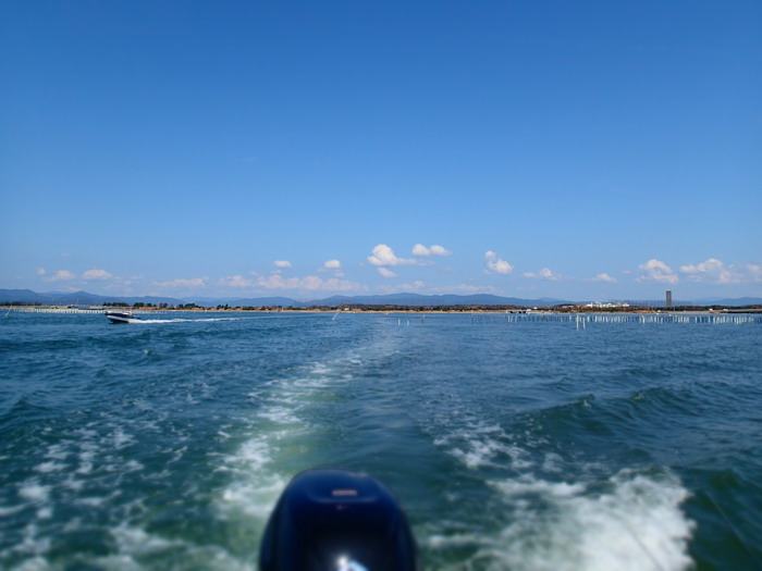 c0197578_1050116.jpg