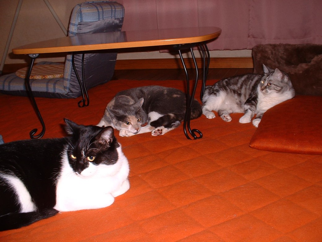 d0000778_2335176.jpg