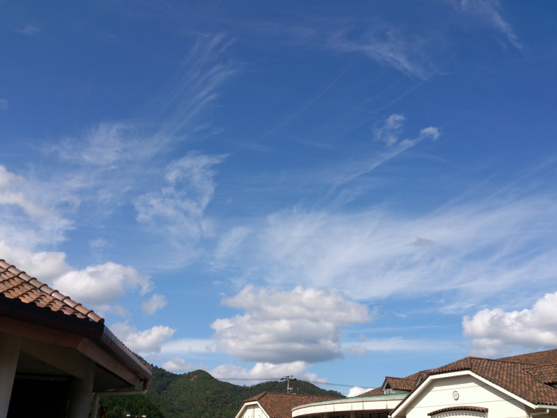 a0004180_0184496.jpg