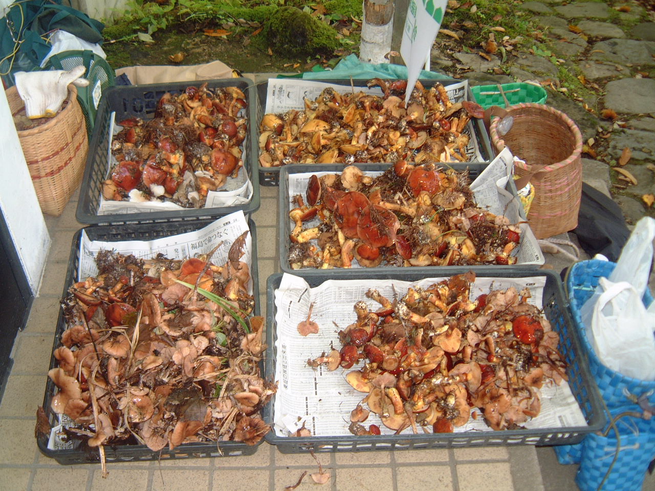 c0237780_17145570.jpg