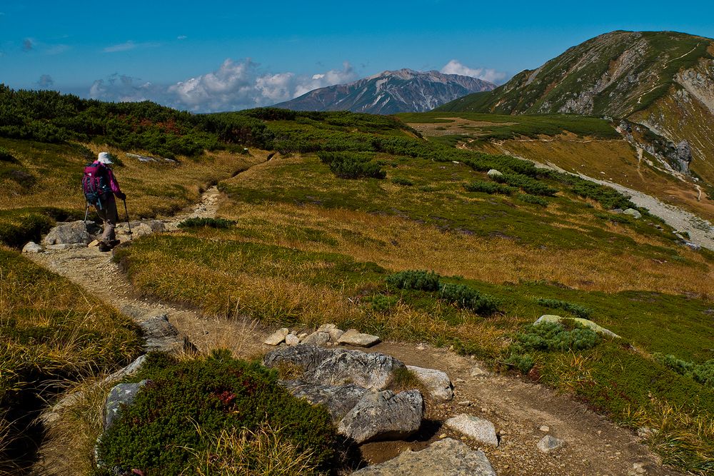f0234982_15444725.jpg