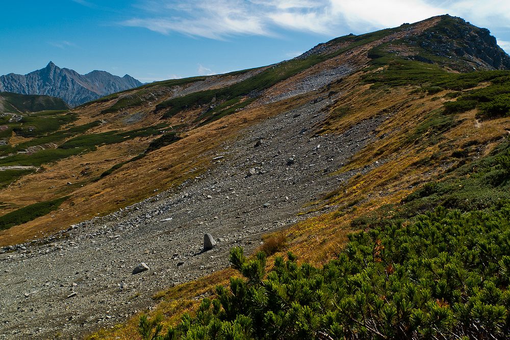 f0234982_15445338.jpg