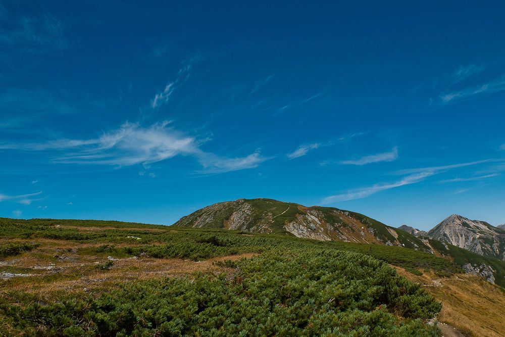 f0234982_15462866.jpg
