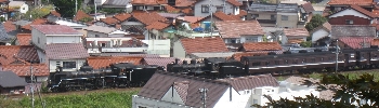 f0003283_23383122.jpg