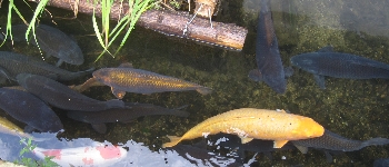 f0003283_23393937.jpg