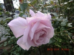 c0078586_20274298.jpg