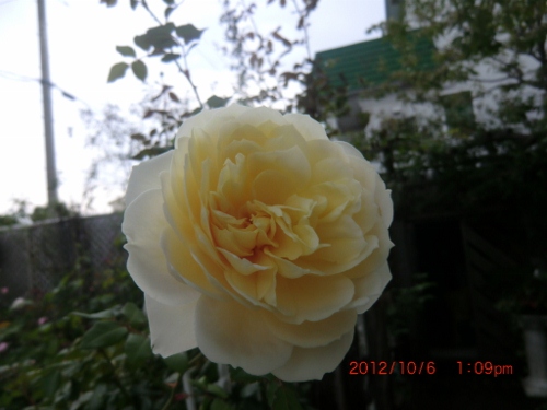 c0078586_20334954.jpg