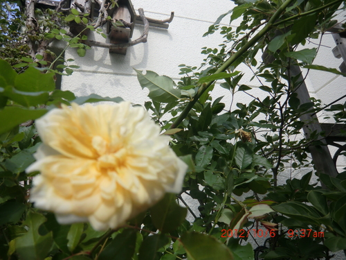 c0078586_203974.jpg