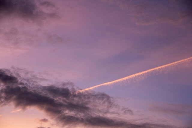 e0177190_2015356.jpg