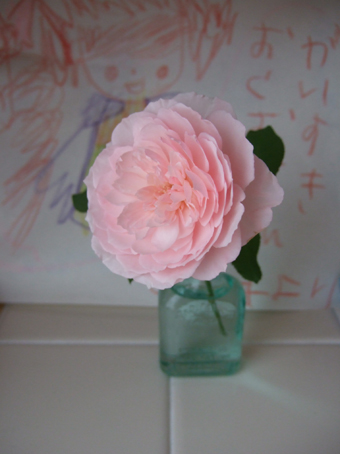 c0139591_12541623.jpg