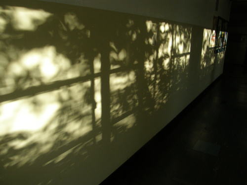 e0017396_7305029.jpg