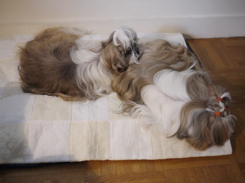 c0090198_449401.jpg