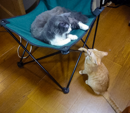 f0239100_081399.jpg