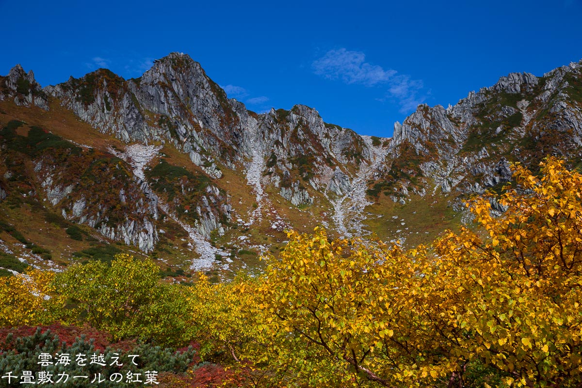 f0220502_21145788.jpg