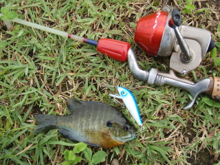 c0023804_216561.jpg