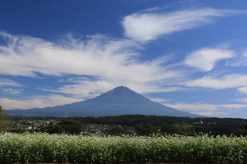 a0188405_17561495.jpg
