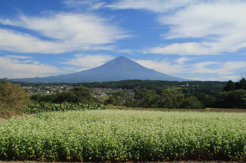 a0188405_17562785.jpg