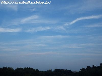 e0145805_1902830.jpg