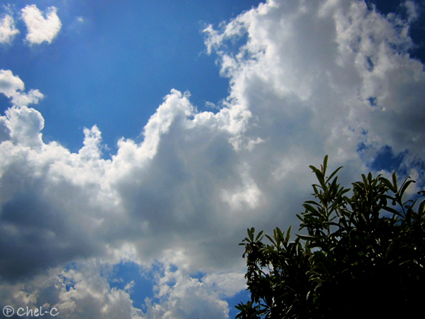 a0154706_1875958.jpg
