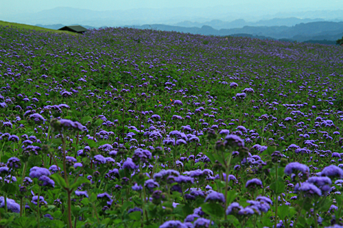 b0014607_14202269.jpg