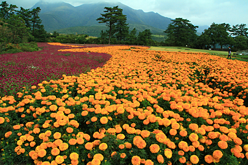 b0014607_14203469.jpg