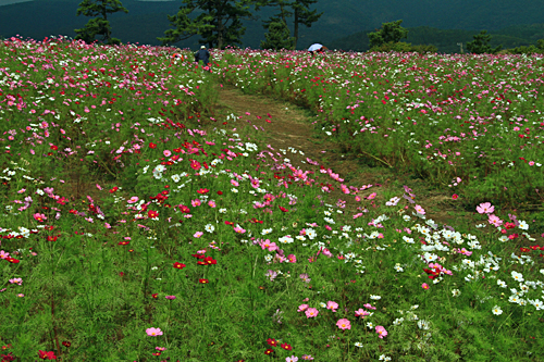 b0014607_14212498.jpg
