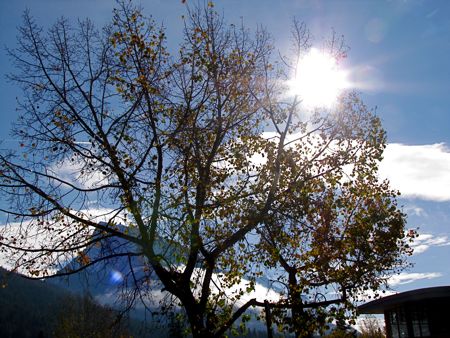 b0051109_9402760.jpg
