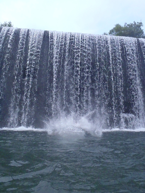 c0209409_11481338.jpg