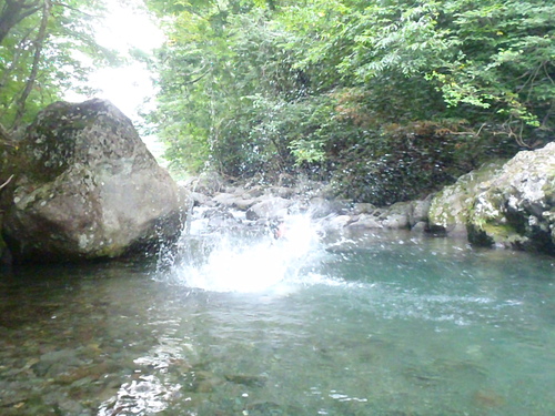 c0209409_12132020.jpg